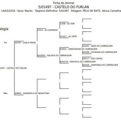 Jumento CASTELO DO FURLAN