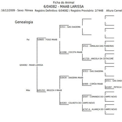 Jumenta MAAB LARISSA