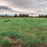 HARAS FABULOSO EM BOTUCATU/SP - 14,1840 ha - Image 21