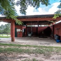 HARAS FABULOSO EM BOTUCATU/SP - 14,1840 ha - Image 18