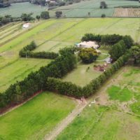 HARAS FABULOSO EM BOTUCATU/SP - 14,1840 ha - Image 11
