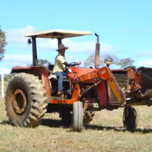 TRATOR MASSEY FERGUSSON 275