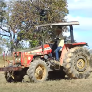 TRATOR MASSEY FERGUSON 255