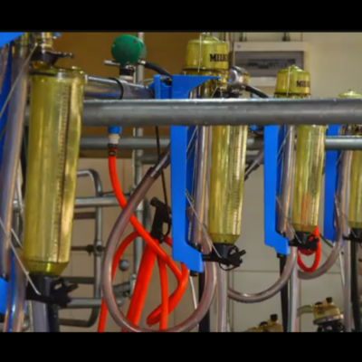 SALA DE ORDENHA – ESPINHA DE PAIXE 1200 CANALIZADO