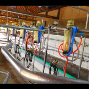 SALA DE ORDENHA - ESPINHA DE PAIXE 1200 CANALIZADO