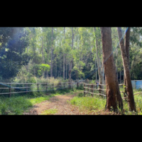 Propriedades rurais em Argirita/MG - Image 7