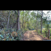 Propriedades rurais em Argirita/MG - Image 4