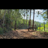 Propriedades rurais em Argirita/MG - Image 3