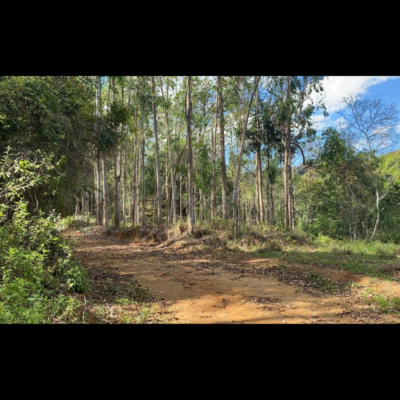 Propriedades rurais em Argirita/MG