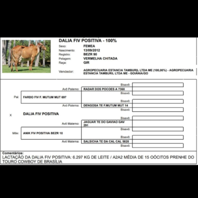 BEZERRA FIV SEM REGISTRO