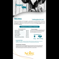 LINHA FASES RECRIA - 40KG - Image 2