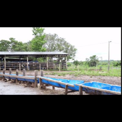 COCHOS PLASTICO TAMBORES