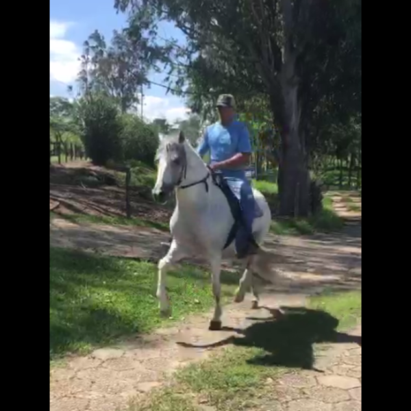 HERDEIRO DA CANAÃ