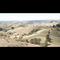 Fazenda Bela Vista - Image 14