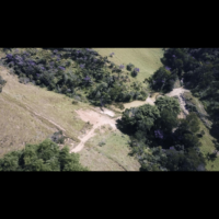 Fazenda Bela Vista - Image 12