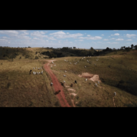 Fazenda Bela Vista - Image 7