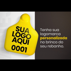 LOTE 141 - PACOTE 100 BRINCOS PERSONALIZADOS