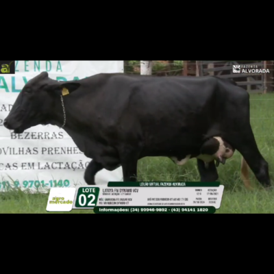 LOTE 02 LATOYA FIV DYNAMO VCV