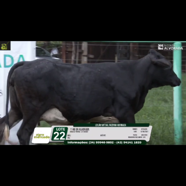 LOTE 22 1148 DA ALVORADA