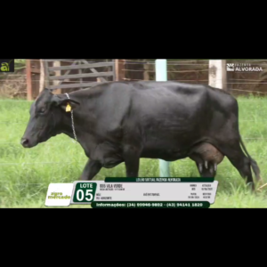 LOTE 05 885 VILA VERDE