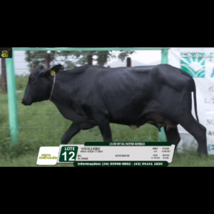 LOTE 12 1479 VILA VERDE