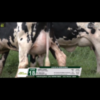 LOTE 18A FARRISTA ITAMBÉ - Image 3