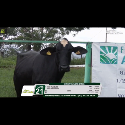 LOTE 21 1233 VILA VERDE