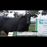 LOTE 22 1148 DA ALVORADA - Image 3
