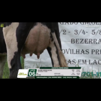 LOTE 06 GALANTE VEREDA DA CRUZ - Image 4
