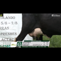 LOTE 02 LATOYA FIV DYNAMO VCV - Image 3
