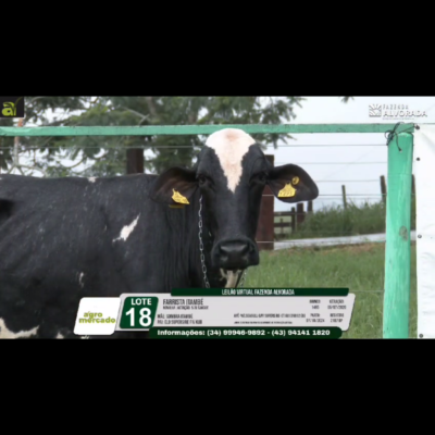 LOTE 18A FARRISTA ITAMBÉ