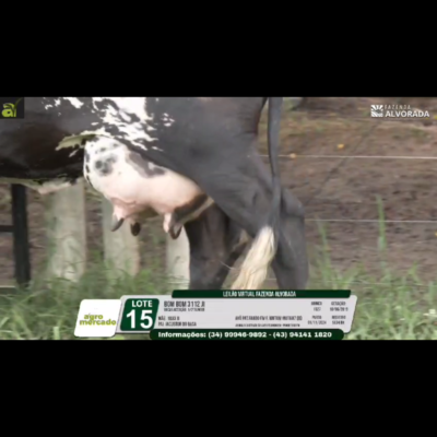 LOTE 15 BOM BOM 3112 JI