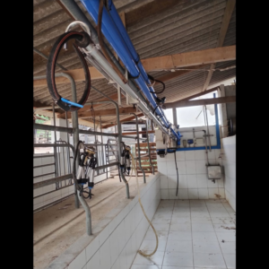 LOTE 206 - CONJUNTO DE ORDENHA DELAVAL