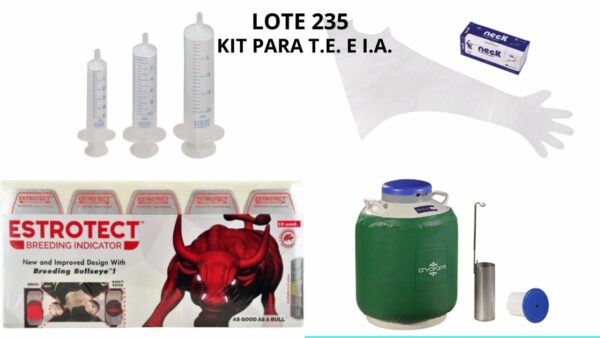 LOTE 235 - KIT TE E IA