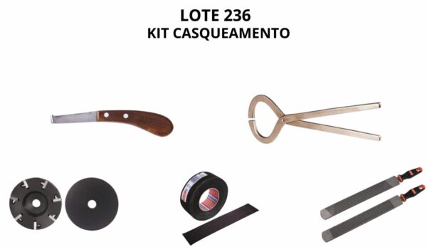 LOTE 236 - KIT CASQUEAMENTO