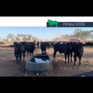 BEBEDOURO 1200L CAMPO FÁCIL