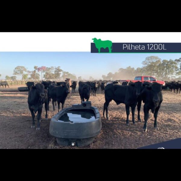 BEBEDOURO 1200L CAMPO FÁCIL