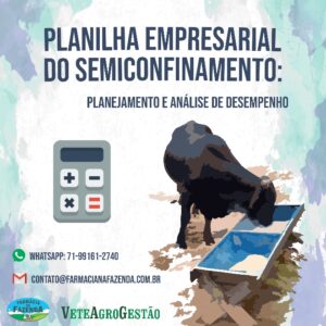 Planilha Empresarial Semiconfinamento