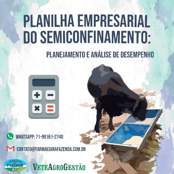 Planilha Empresarial Semiconfinamento