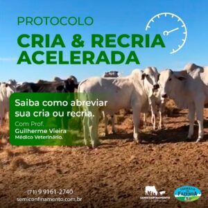 Protocolo Cria & Recria Acelerada