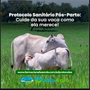 Protocolo Sanitário Vaca Pós Parto