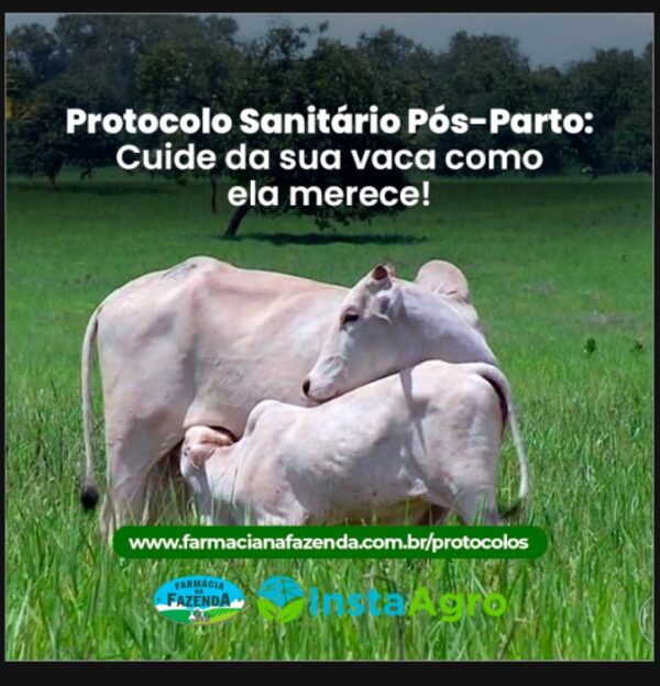 Protocolo Sanitário Vaca Pós Parto