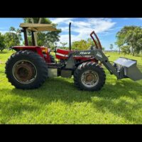 LOTE 261 – TRATOR MASSEY FERGUSON 292 - Image 2