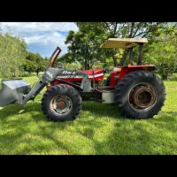 LOTE 261 – TRATOR MASSEY FERGUSON 292 - Image 4