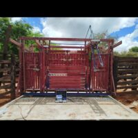 TRONCO CABINE DUPLA VET - Image 6