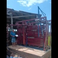 TRONCO CABINE VET - Imagem 2