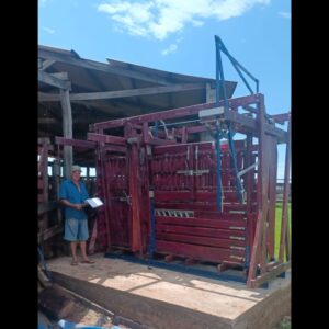 TRONCO CABINE VET