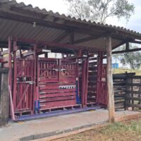 TRONCO CABINE DUPLA VET - Image 3