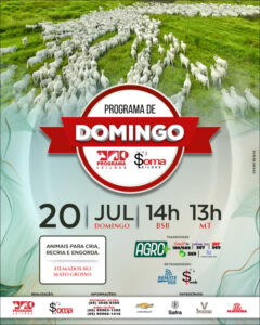 120-programa-de-domingo-programa-e-soma-leiloes