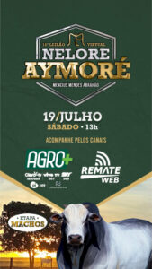 18-leilao-virtual-touros-aymore-etapa-machos